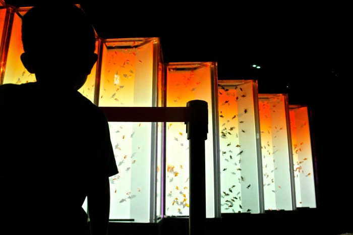 Japanese girl terrarium | Terrarium, Air plants, Succulents